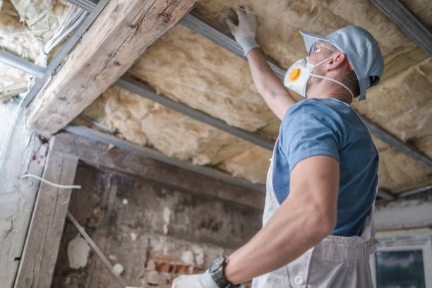 Best Types of Insulation in Johnstonville, CA